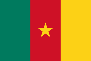 Flag of Cameroon Cameroon flag | SalaryPedia by Singh Yogendra