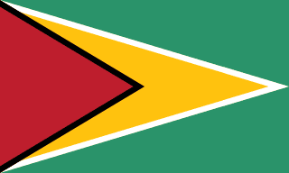 Flag of Guyana Guyana flag | SalaryPedia by Singh Yogendra